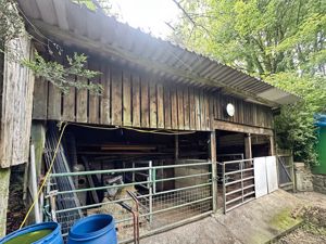 Photo 19- click for photo gallery